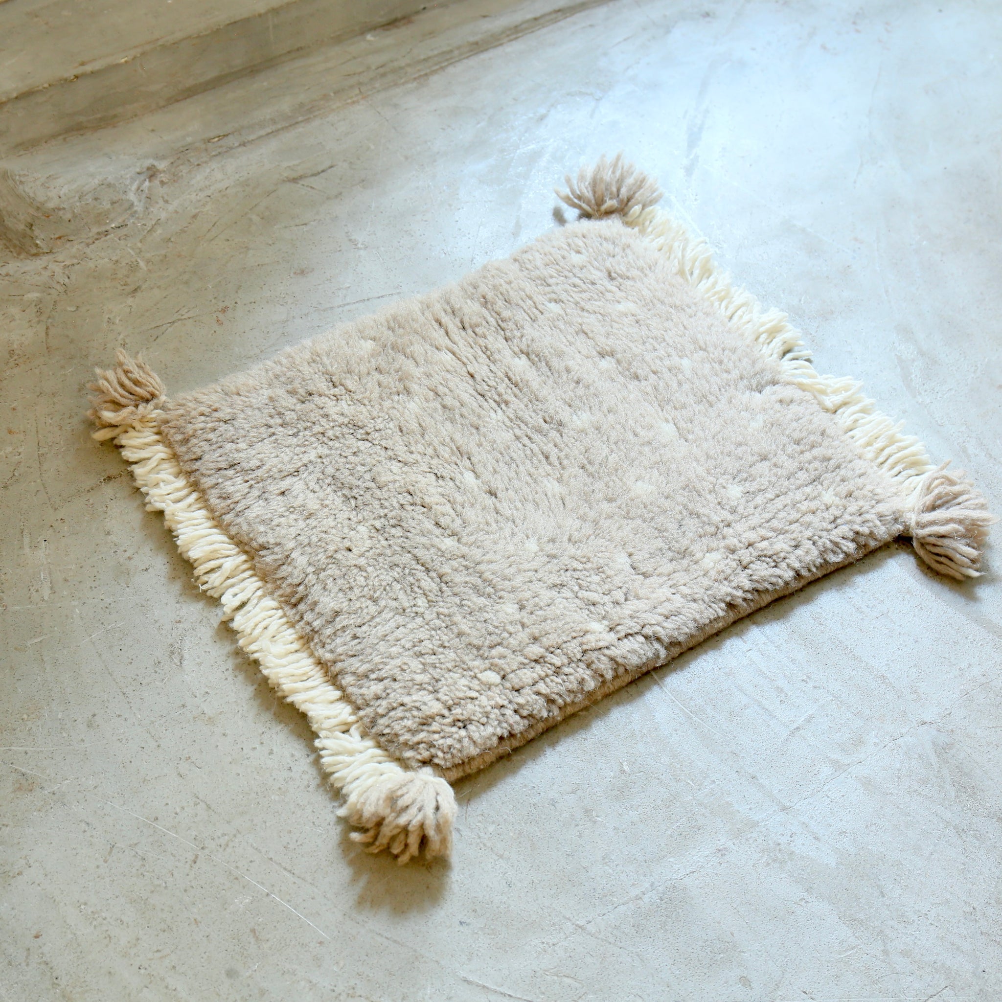 ベニワレンミニラグ 202511213