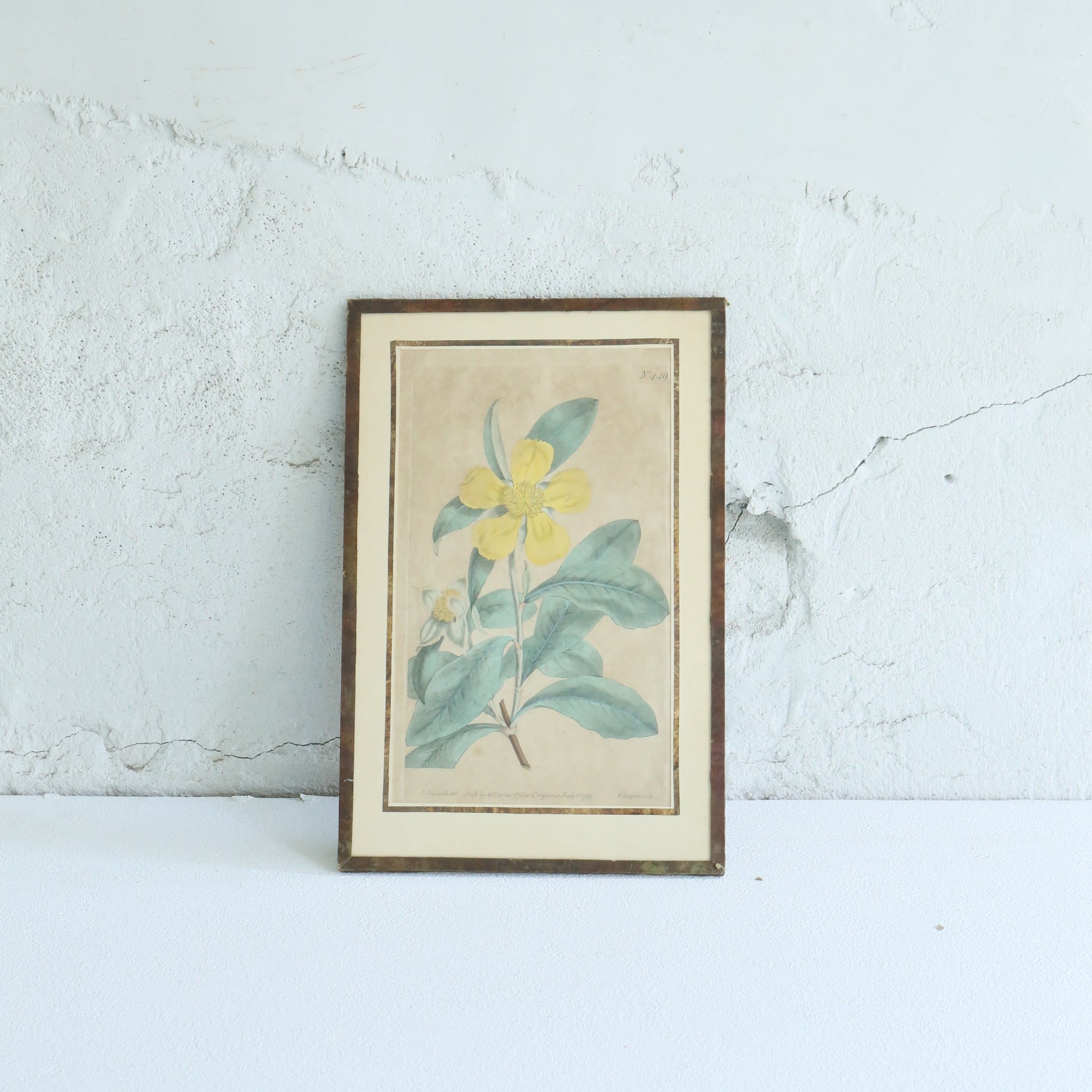 Antique Botanical Painting 202501156