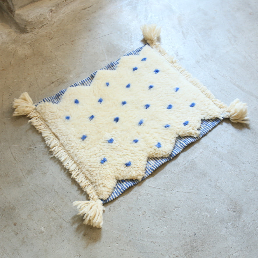 ベニワレンミニラグ 202511211